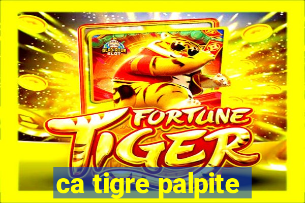 ca tigre palpite